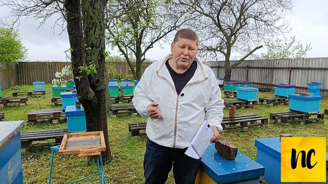 Пленка или холстик. Вентиляция в ульях, холодная зимовка. Утеплительная подушка для улья. смотреть онлайн