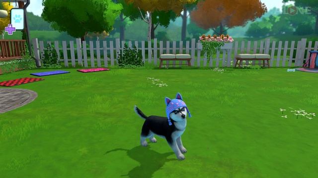 Little Friends: Puppy Island - Геймплей | Switch смотреть онлайн