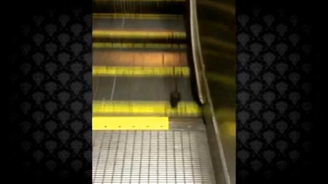 Ран крыса ран смотреть онлайн