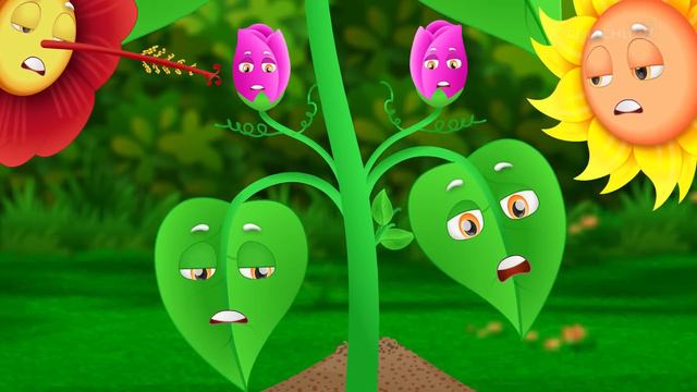 পিংকি, গর্বিত পেটুনিয়া (Pinky, The Proud Petunia) - Bangla Cartoon - ChuChuTV Bengali Moral Storie смотреть онлайн