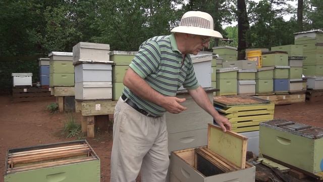 Пасека #18 Как сделать отводок пчел (Пчеловодство) - новое Пчелиный эксперимент 2 ( Новый Метод ) смотреть онлайн