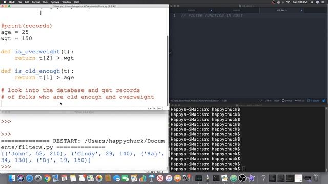 Rust (Part 11): build & FILTER a database of records in Python first.Then get to the Rust version смотреть онлайн