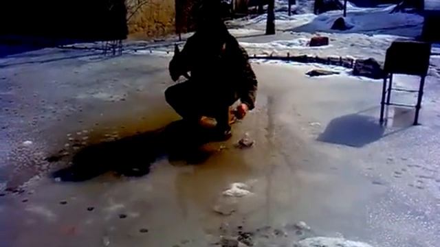 И во дворе клюет скумбрия смотреть онлайн