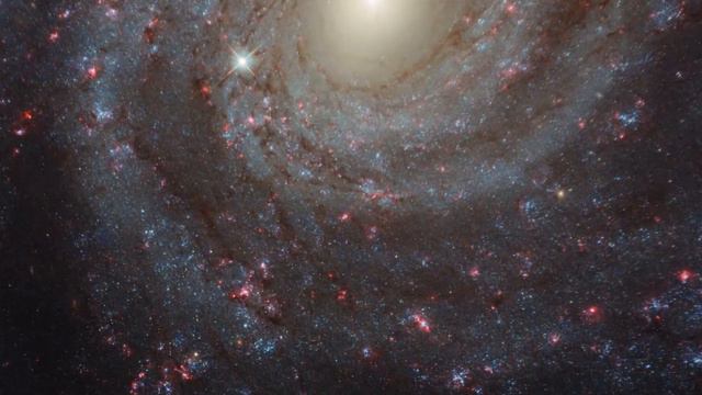 Hubblecast 107. Декодируя цвета NGC3344 смотреть онлайн