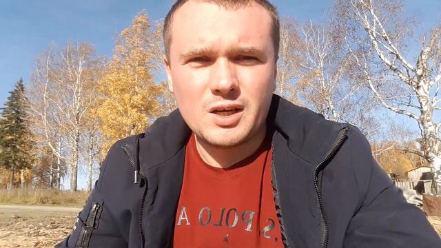 Бизнес на дровах. Бизнес идея дрова березовые колотые смотреть онлайн