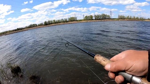 ЛОВЛЯ ЩУКИ НА СПИННИНГ В МАЕ ЛЕЖКА ДИКОГО КАБАНА смотреть онлайн