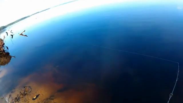 Ловим на спиннинг смотреть онлайн