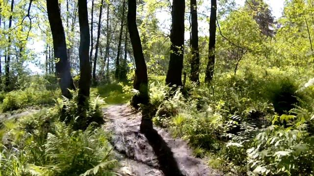 Маршрут Купальное кольцо (Покров) [5/11] Поселок Введенский - Черное озеро смотреть онлайн