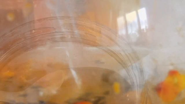 То, что сейчас нужно! Вкуснейший облепиховый чай смотреть онлайн