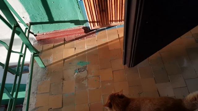 Мама пропала....пошла в магазин смотреть онлайн