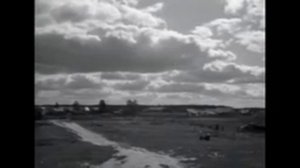 Когда деревья были большими 1961