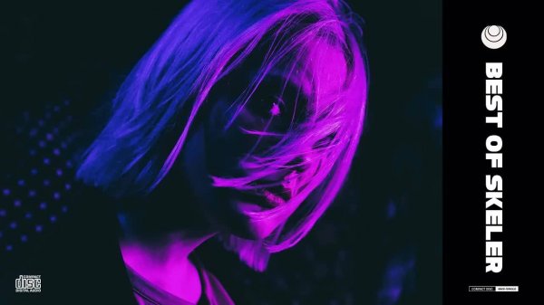 Best of Skeler Mix by Exocollective