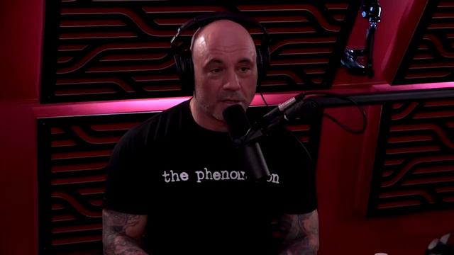 Build a Wall Around Black Marsh Joe Rogan – Dagoth Ur Podcast (ai voice meme) смотреть онлайн