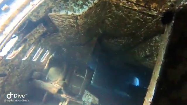 Dive Site: Tristar Aircaft, Aqaba, Jordan смотреть онлайн