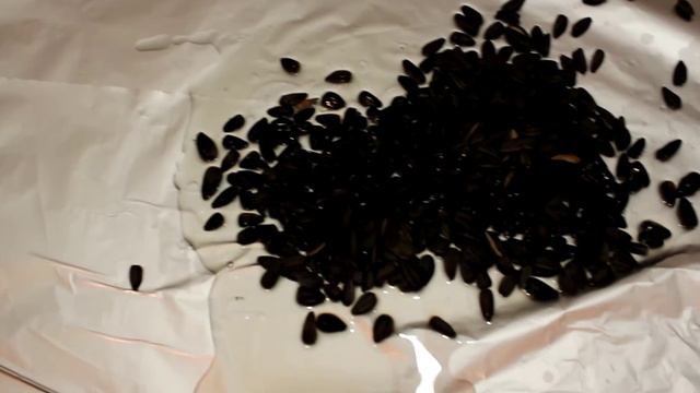 Секреты Творческого Прогресса