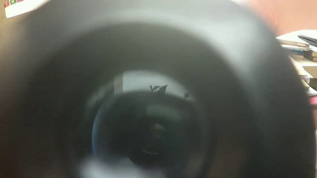 Усы кота породы корниш-рекс под микроскопом: съёмка камерой GoPro смотреть онлайн