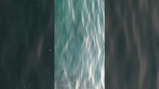 Счастье есть. Кормим рыбок в красном море в Египте смотреть онлайн