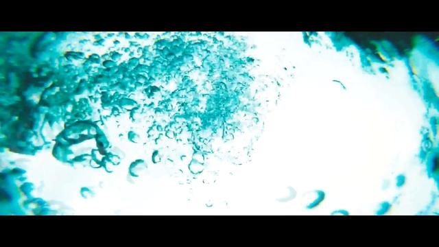 Тизер "Мой друг нерпа" (Teaser "My friend the seal") смотреть онлайн