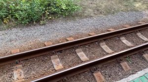 детская железная дорога челябинск, станция зоопарк