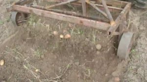 Самодельная картофелекопалка грохотного типа .