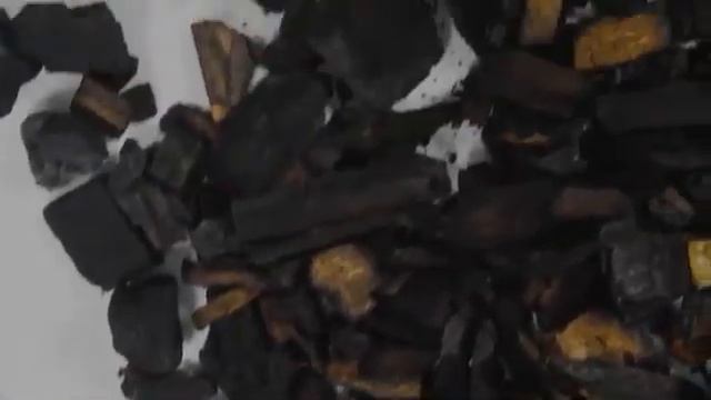 Briiv экологичный очиститель воздуха в виде миниатюрного леса в колбе смотреть онлайн