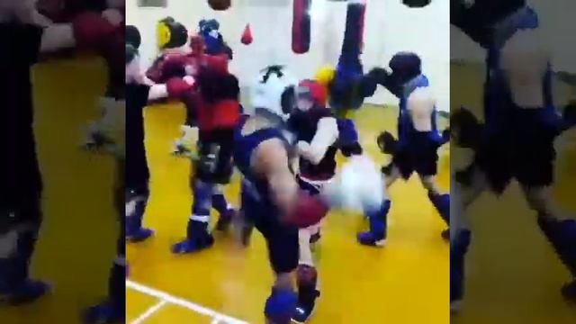 сборы стайки 2017 смотреть онлайн