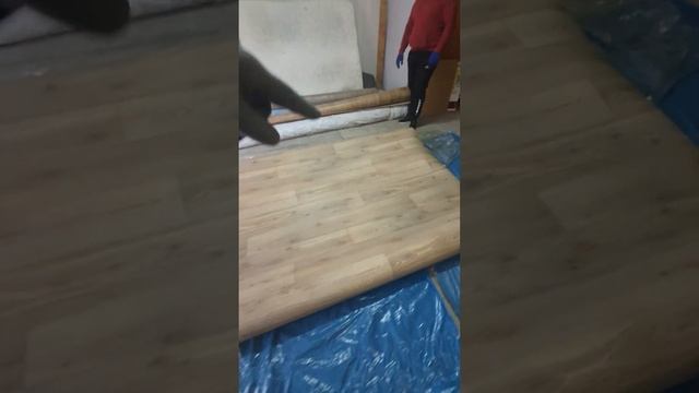 Линолеум полукоммерческий Juteks Forum Avenue 296M в ширине 4m (4х3) смотреть онлайн