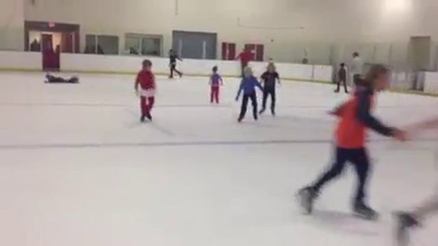 New & improved Dorothy Hamill & Peggy Fleming. Coco & Domi ice-skate. 11/23/13-4.5ans смотреть онлайн