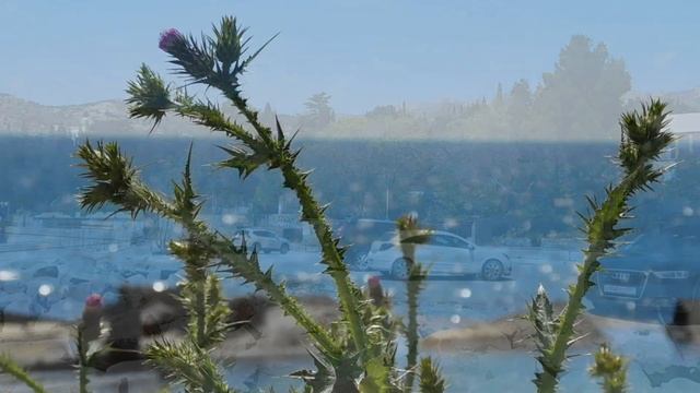 Симеиз 25 Апреля 2023 Крым Пляжи Набережная Проспект смотреть онлайн