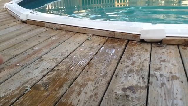 Epic Cats Hate Falling in Water смотреть онлайн