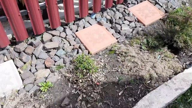 ПЕТУНИЮ И ДРУГИЕ РАСТЕНИЯ ВЫСАЖИВАЮ В ОТКРЫТЫЙ ГРУНТ .НОВАЯ КЛУМБА.МОИ ОБНОВЛЕНИЯ. смотреть онлайн