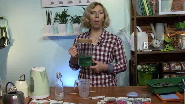 СУПЕР НОВИНКИ ПЕТУНИИ с геном мужской стерильности. смотреть онлайн