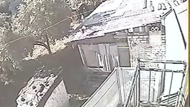 Сосед убил нашу собаку смотреть онлайн