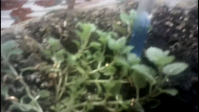 Делай То, Что Полезно