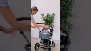 Видеообзор коляски Luxmom Dalux 608 2в1