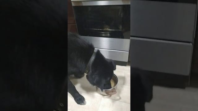 27 января 2021 г.