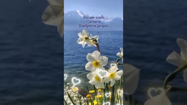 ДОБРОЕ УТРО.. смотреть онлайн