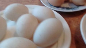 В чём разница между утиными яйцами и куриными .