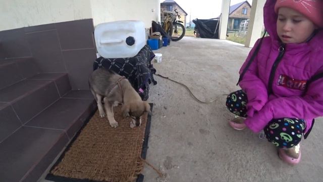 Когда же люди перестанут это делать