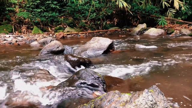 Relaxing River Sounds - Forest Stream- 30 minutesLong - Nature Videos - East Java Indonesia смотреть онлайн