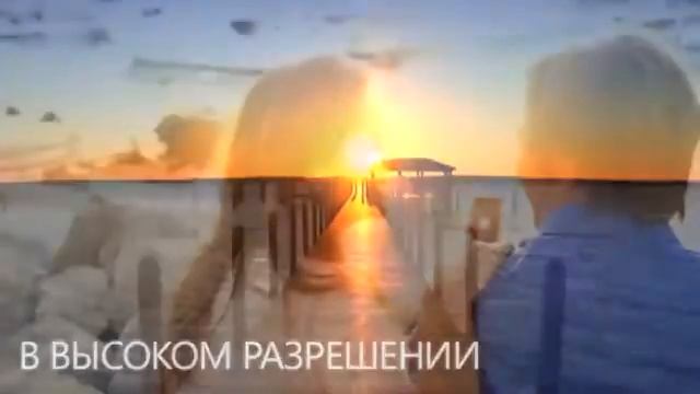 Контактные линзы Pure Vision 2 HD смотреть онлайн