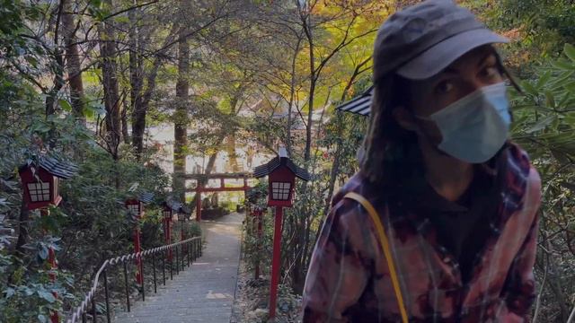 Japan Vlog | 4K Walk Nanzoin Temple in Sasaguri | Trophy Wifes смотреть онлайн