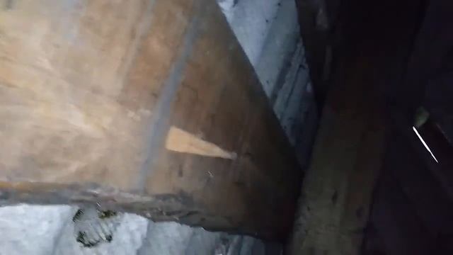 Как вывести ос или шершней в Кемеровской области. Абсолют-НК. смотреть онлайн