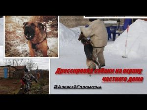 Дрессировка собаки на охрану частного дома