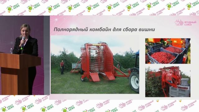 8 Трудности, возникающие у садоводов при переходе на механическую уборку ягод – Ирина Кузнецова смотреть онлайн