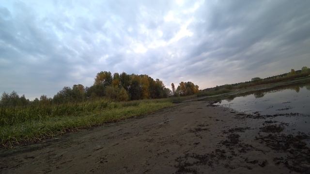 Охота на утку с чучелами, перелётной всё больше, свиязь, широконоска, вкусные блюда...duck hunting смотреть онлайн