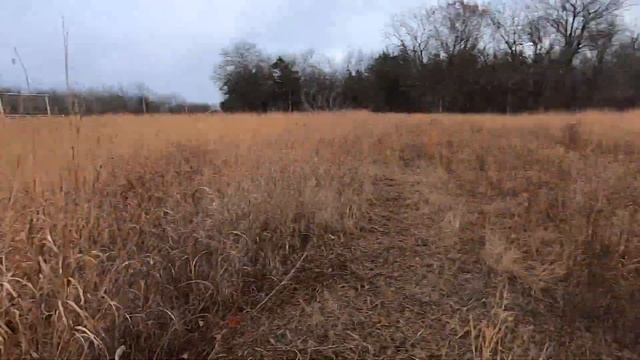 My First Time Hunting Pheasant Quail and Chukar All in One Day! смотреть онлайн