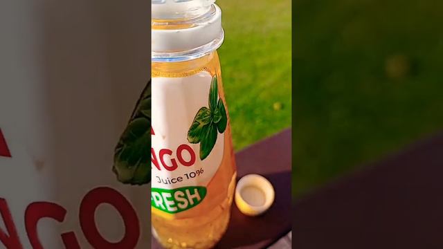 Пробую напиток из коробочки со сладостями. Манго+семена чиа, 4 часть смотреть онлайн