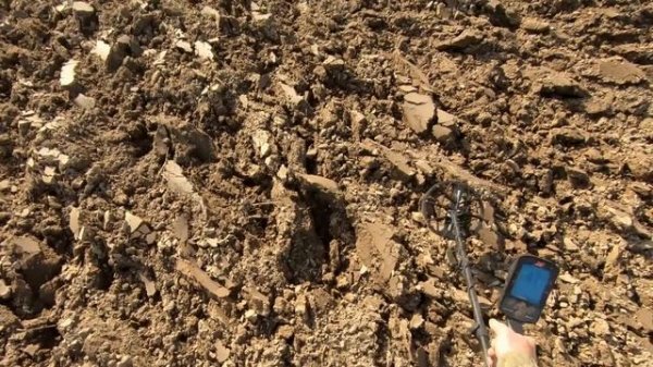 MINELAB MANTICIRE Посмотри Реальный Поиск перед Покупкой! NOKTA LEGEND и MINELAB MANTICORE Результа