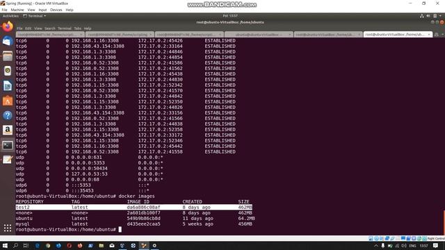 CENG367 Scripting Languages | Sözlük Projesi смотреть онлайн